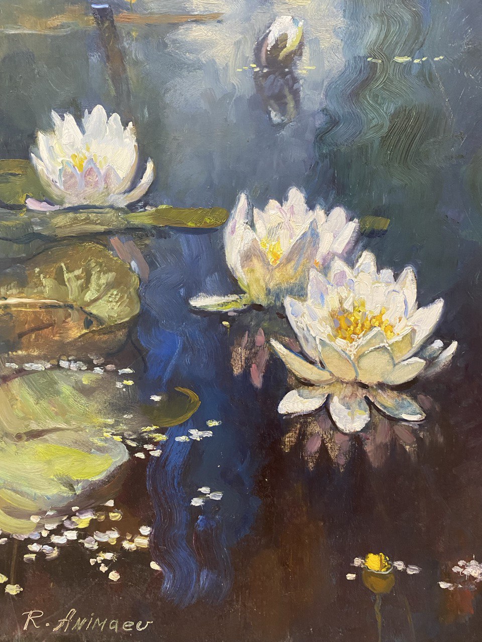 Water Lilies
