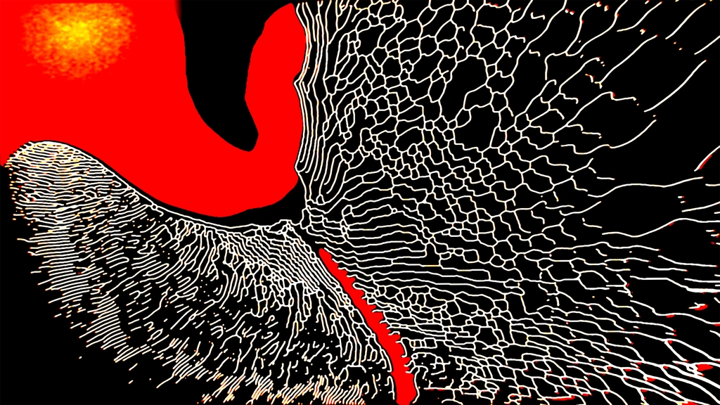 Veins of Fire